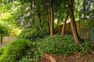 Photo 31- click for photo gallery